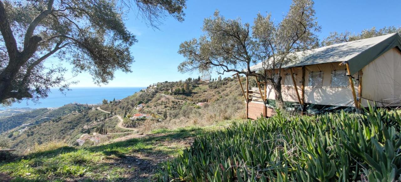 Campo Agave Luxury Tents Sayalonga Exterior photo