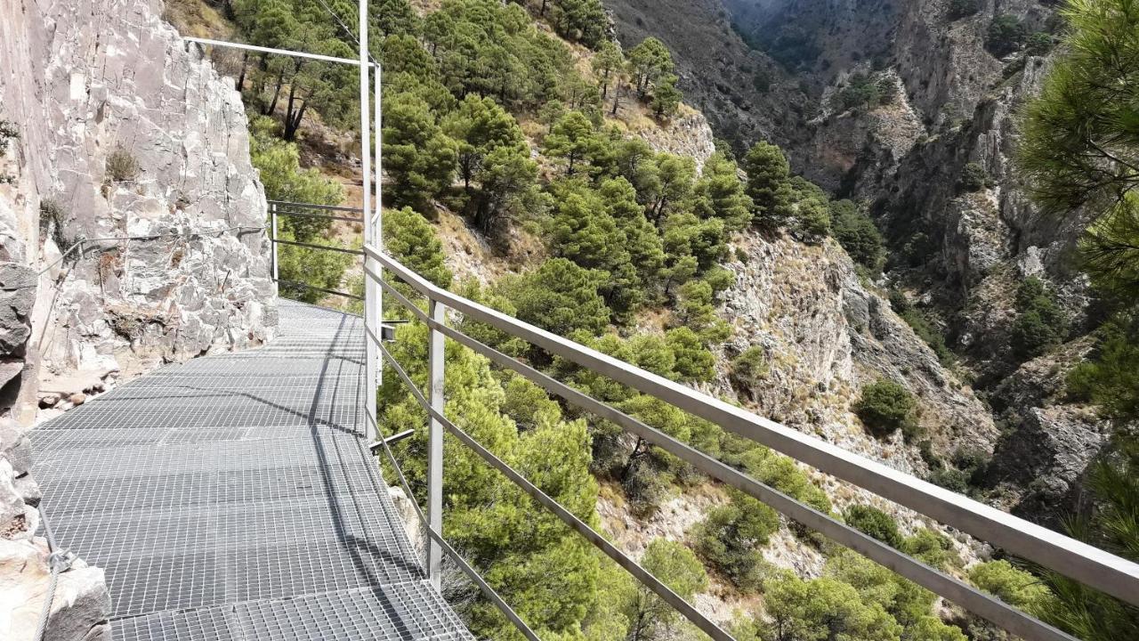Campo Agave Luxury Tents Sayalonga Exterior photo
