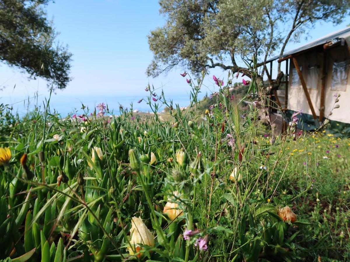 Campo Agave Luxury Tents Sayalonga Exterior photo