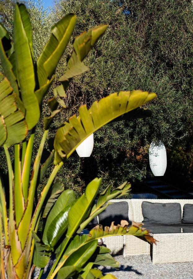 Campo Agave Luxury Tents Sayalonga Exterior photo