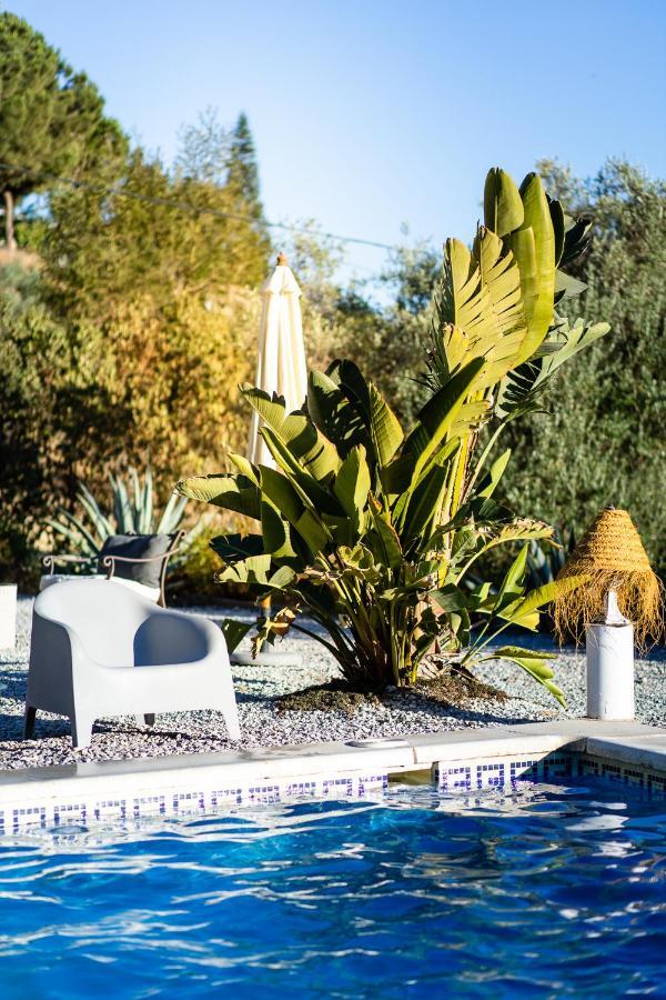 Campo Agave Luxury Tents Sayalonga Exterior photo